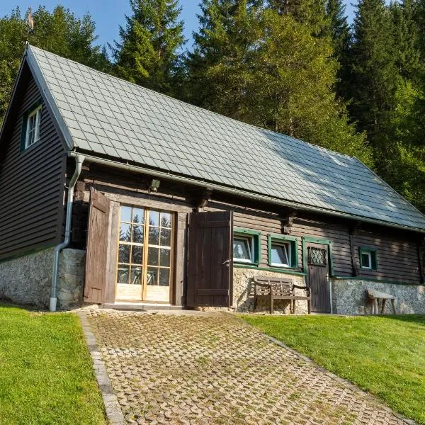 Frein Chalets - Kaltenbach, hotel v destinaci Frein