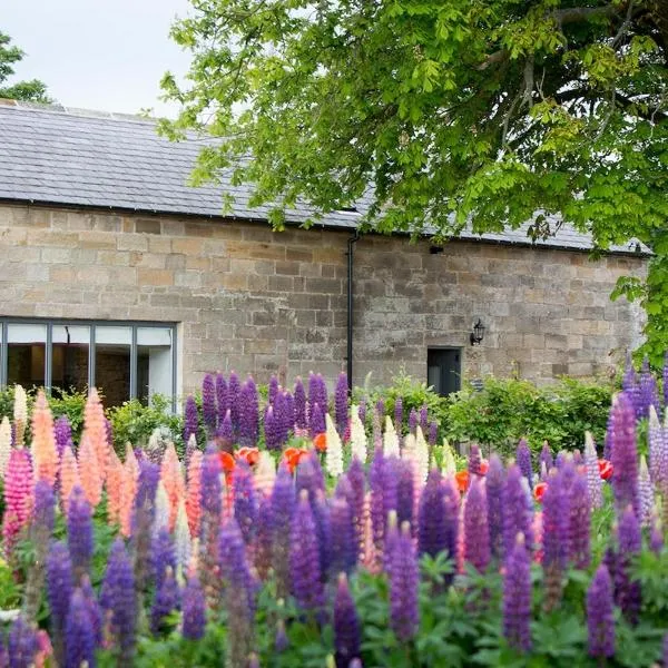 Chestnut Barn Cottage Whitby، فندق في Aislaby