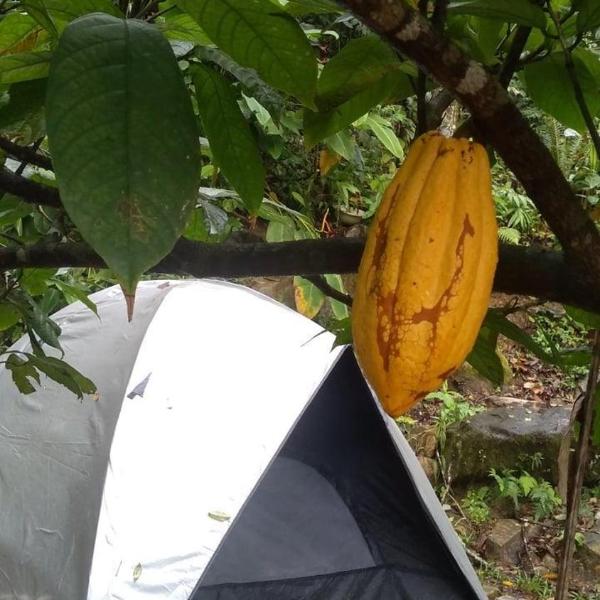 Camping - Recanto do Leâo