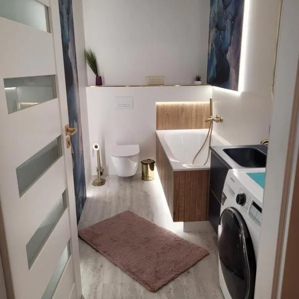 Apartament Cień Wiatru z Widokiem na Jezioro i Netflixem, hotel en Charzykowy