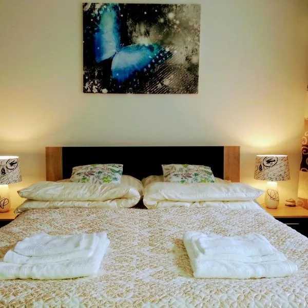 Spa Park Guest Rooms、ドウゴポレ・ズドルイのホテル