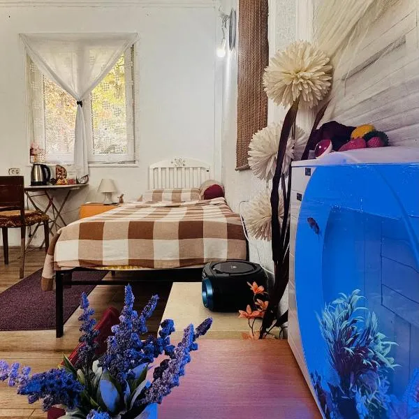 Private Guest Room with Garden Access, hotel in Skopje