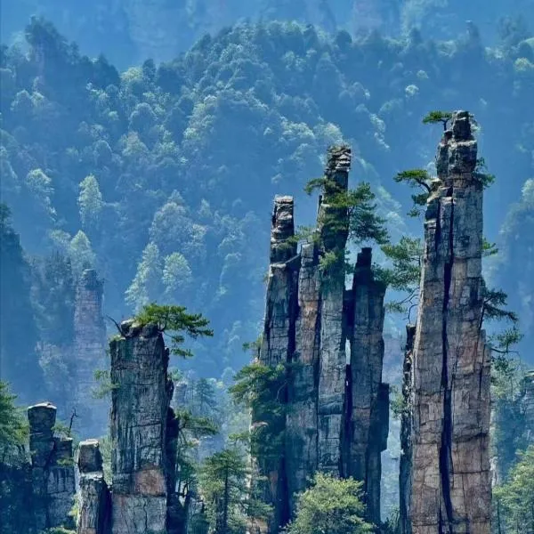 GUI YUAN ZHEN PIN HOTEL- Approximately 3 kilometers from the East Gate of Zhangjiajie National Forest Park - Free one-way pick-up or drop-off service for over 3 nights - English speaking customer service, hotel em Zhangjiajie