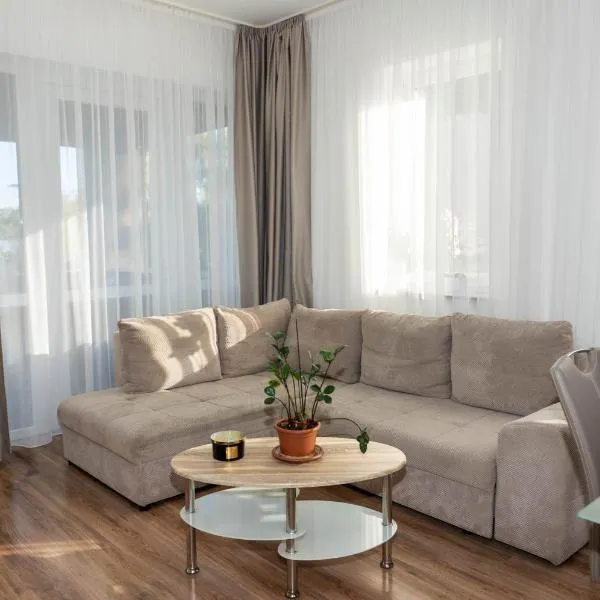 Boró Apartman、ティサフュレドのホテル