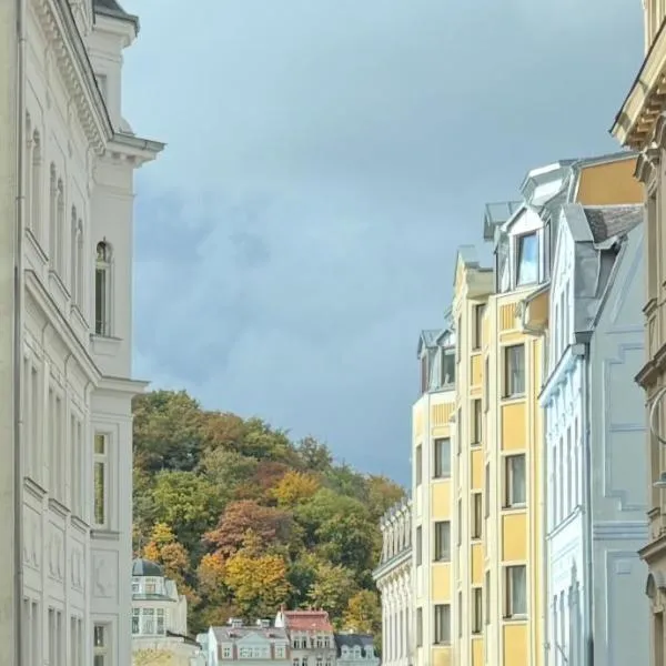 Oasis Valley, hotel en Karlovy Vary