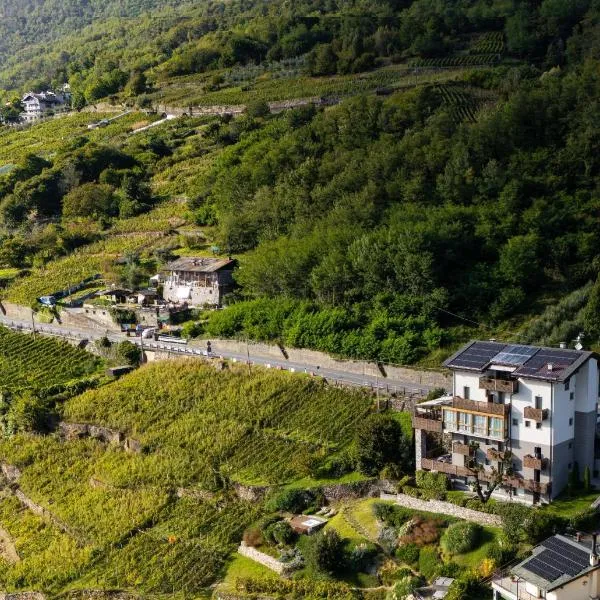 Wine Hotel Retici Balzi, hotel in Poggiridenti
