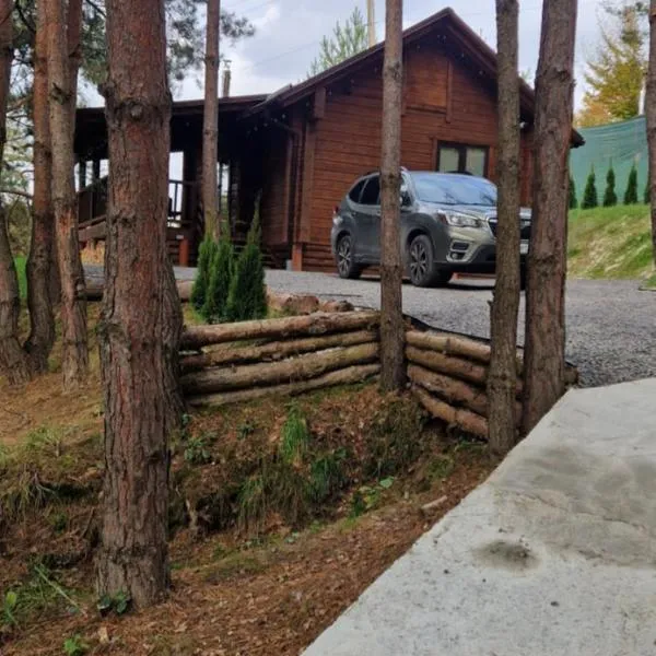 Nice House, hotel in Maidan Village