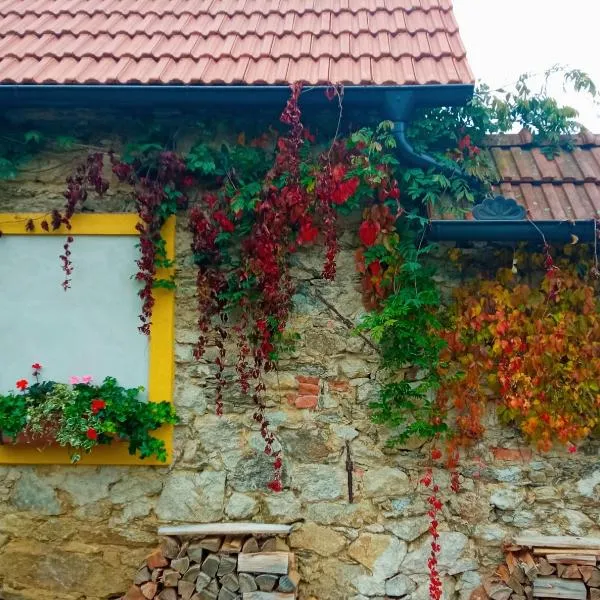 Pension Fanlor, hotel v destinaci Zubčická Lhotka