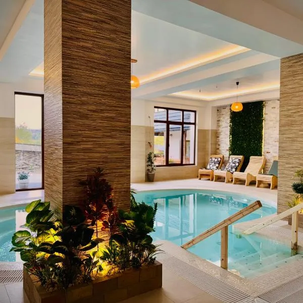 Pensiunea ROCA Maramureș, hotell i Deseşti