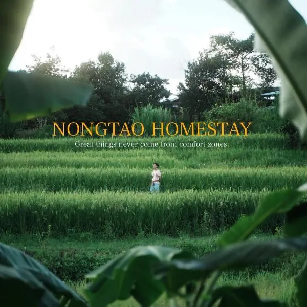 Nongtao Homestay, hotel in Ban Dong Than