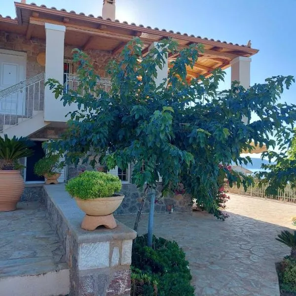 Holiday House Sonia，Dhídhima的飯店