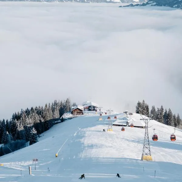Rinderberg Lodge, hotel v destinaci Zweisimmen