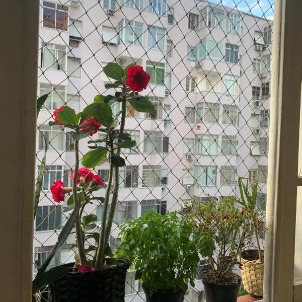 Apartamento 2 quartos na Praia de Copacabana