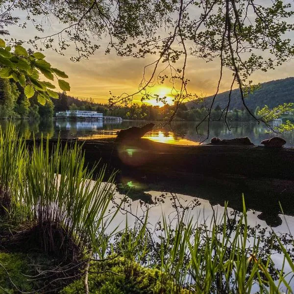 Appart'Hôtel LIDO au bord de l'eau, hotel in Gérardmer