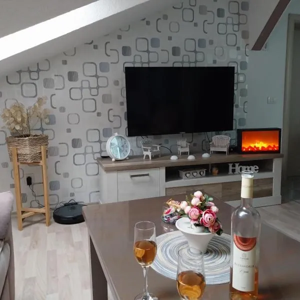Park Apartment, hotel en Kočani