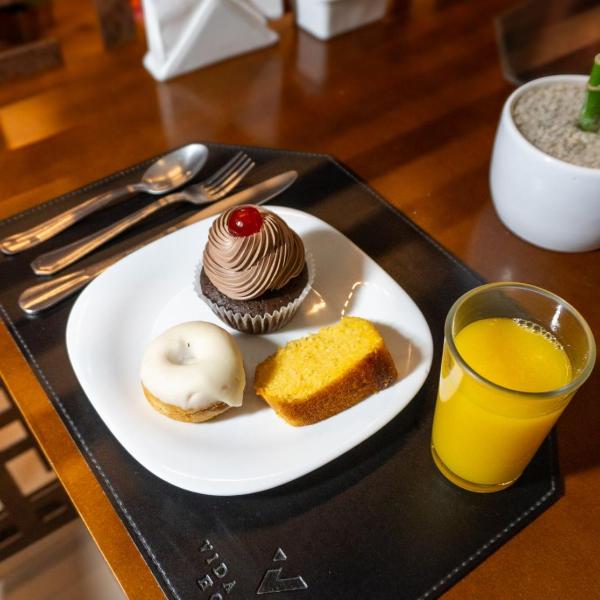 Vida Plaza Hotel - Foto 4