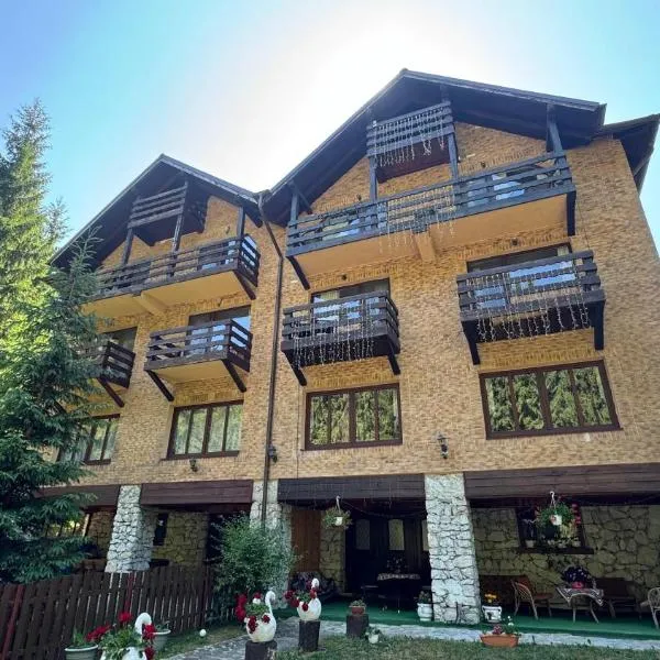 Casa De Vis, hotel in Arieşeni