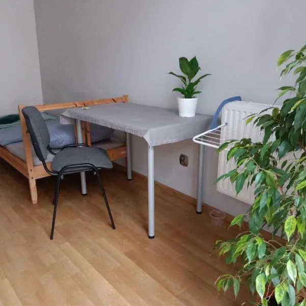 Cruz Mieszkanie Pokoje Centrum przytulny czysty lokal na noc, hotel v Lodži