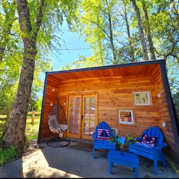 Tiny house, hotel in Coñaripe