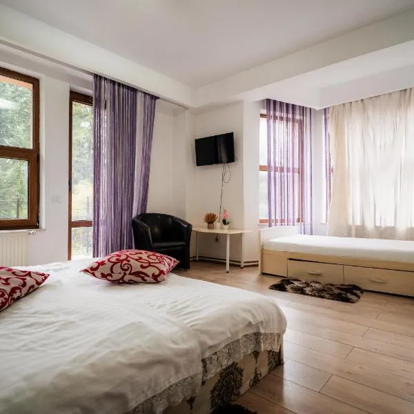 Pensiunea Alexandra, hotel sa Predeal