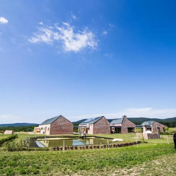 Öregtölgy Vendégház, hotel in Csákányospuszta