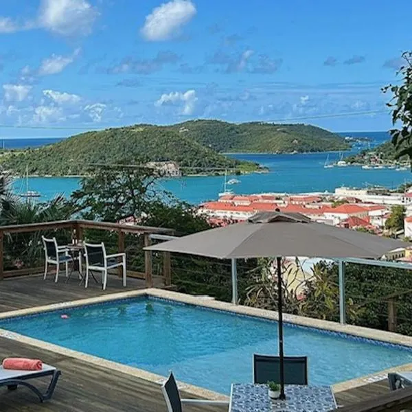 The Green Iguana Hotel, hotel in Charlotte Amalie