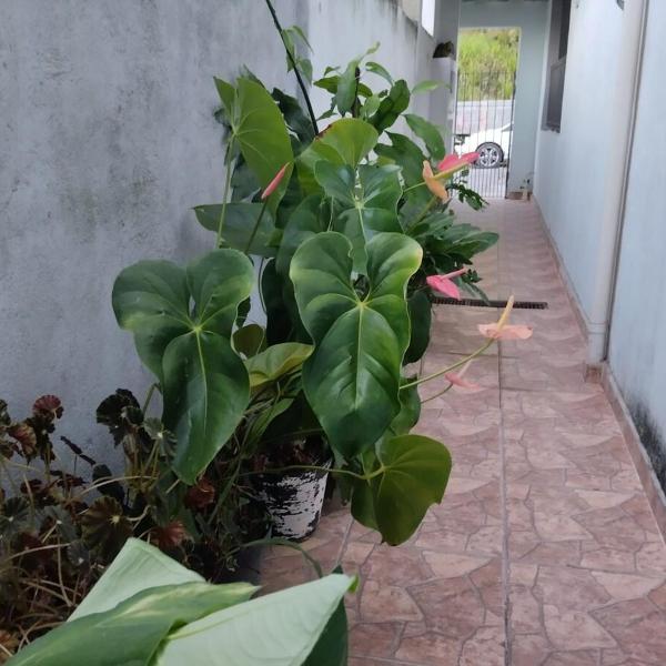 Simples e Aconchegante - Foto 5