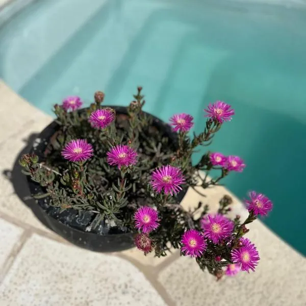 Serena, hotel a Concepción del Uruguay