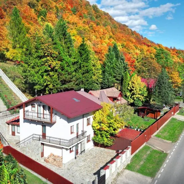 Casa Zânelor Slănic Moldova, hotel in Slănic-Moldova