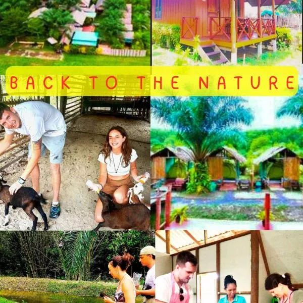 YaoIsland Resort and Farm, ξενοδοχείο σε Ko Yao Yai