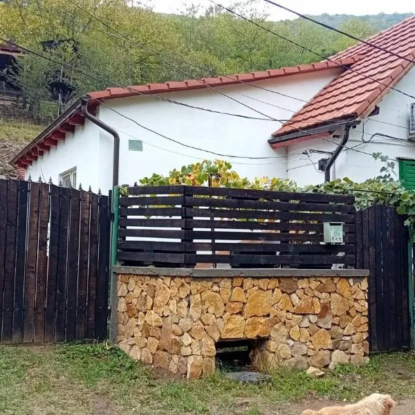 Casa de Vacanta Șușara, hotel en Sasca Montană