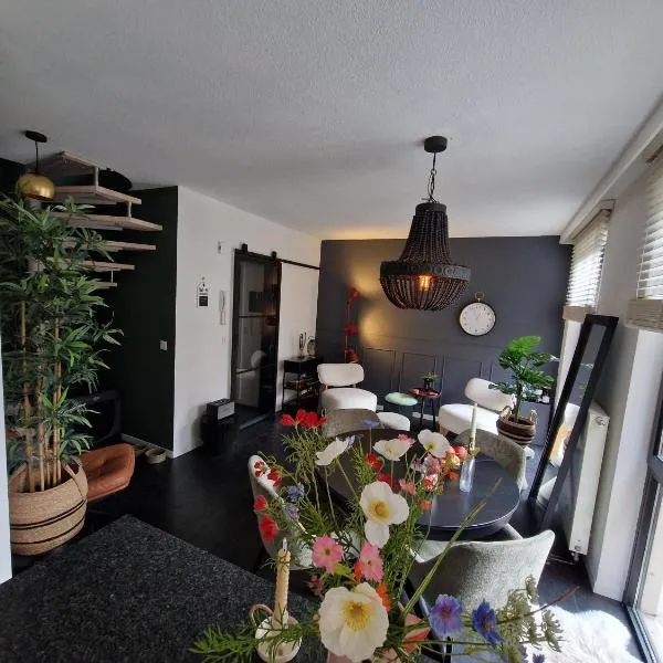 Appartement historisch centrum Antwerpen, hotel a Anvers