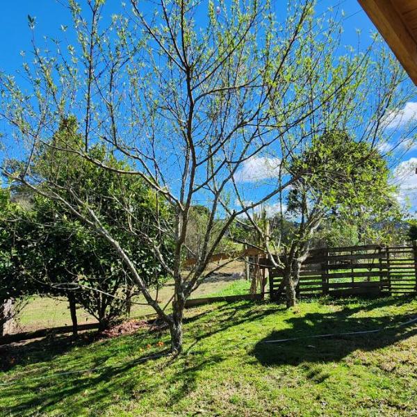 Casa Pessegueiro - Foto 3