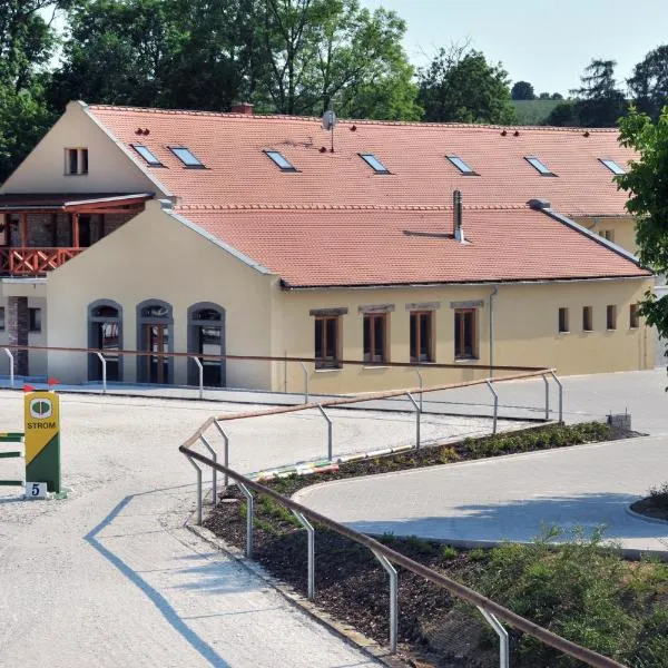 Královický Dvůr, hotel in Slaný