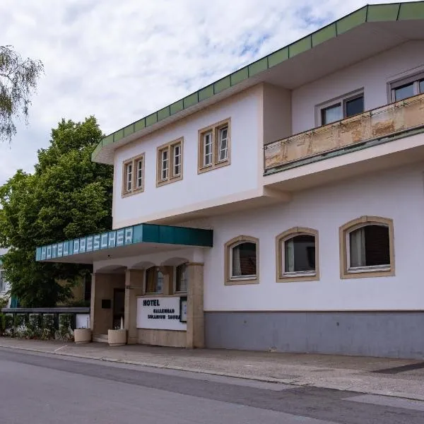 Hotel Drescher, hotel a Mörbisch am See