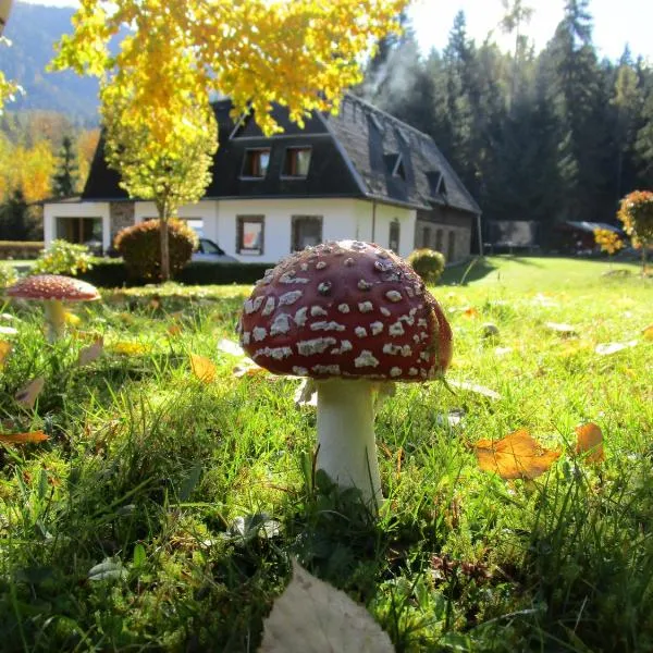 Penzión pod Dobákom, hotel v destinaci Lazisko