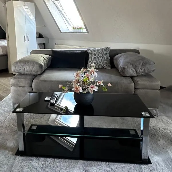 Oppiner Straße 14 Trotha4, hotel en Halle an der Saale