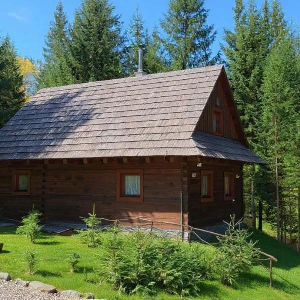 Jariabka Chalet - sun terace, fireplace, grill, space to play, green embrace of the forest in the Low Tatras, hotel en Jarabá