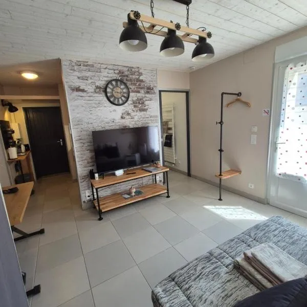 Charmant appartement indépendant Ty-Oustal, hotel en Millau