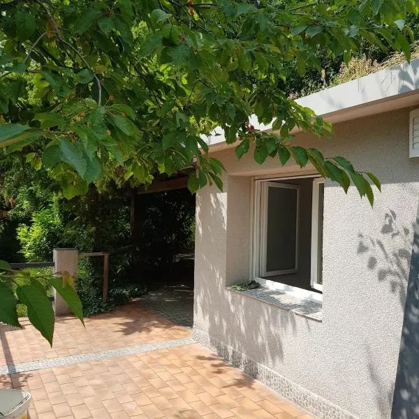 GITE LE PONT DE LA BLOUE - BAS-EN-BASSET, HAUTE-LOIRE, MAISON CLIMATISEE, TERRASSE, JARDIN - ATMOSPHERE ATYPIQUE et NATURE, hotel u gradu 'Bas-en-Basset'