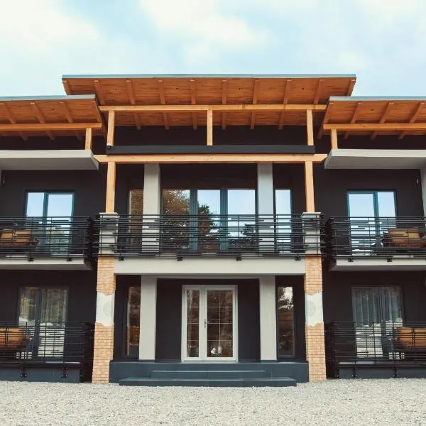 Butterfly, hotel in Hunedoara