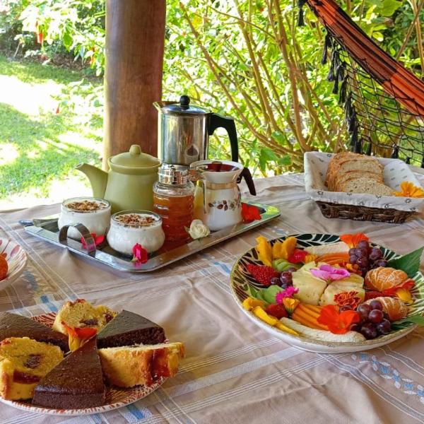 Casa da Floresta - Foto 4