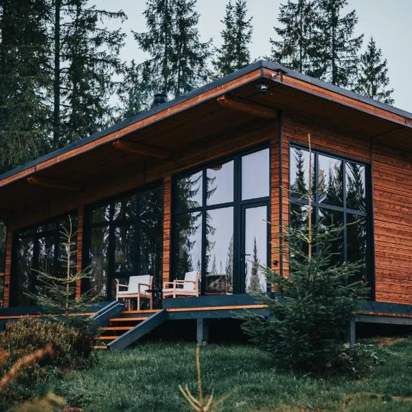 Inima Pustei Cabin, hotel v destinaci Măguri