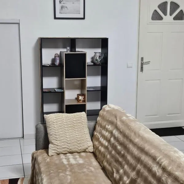 Appartement -T3 de standing, hotel in Oloron-Sainte-Marie