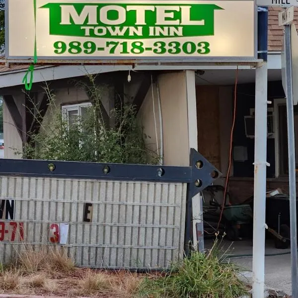 Town Inn Motel，位于Standish的酒店