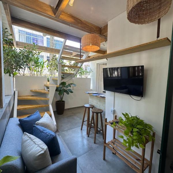 Renovated apartment in Santa Teresa