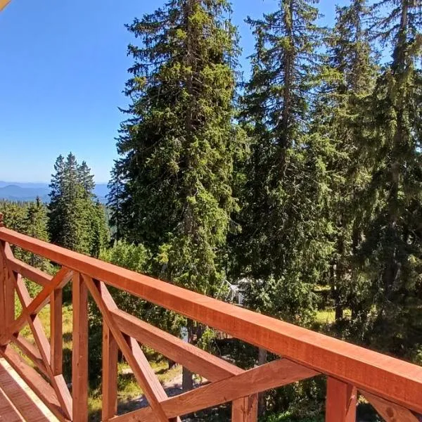 Апартаменти Борови хълмове, hotel i Pamporovo