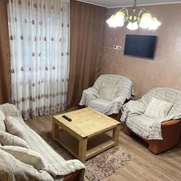 Apartament Leonardo, hotel in Roman