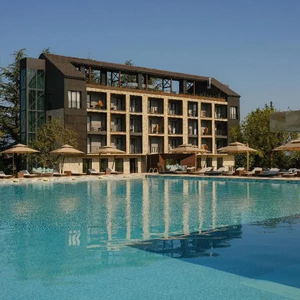 Hotel Meteo Kakheti, hotel v destinaci Ruispiri
