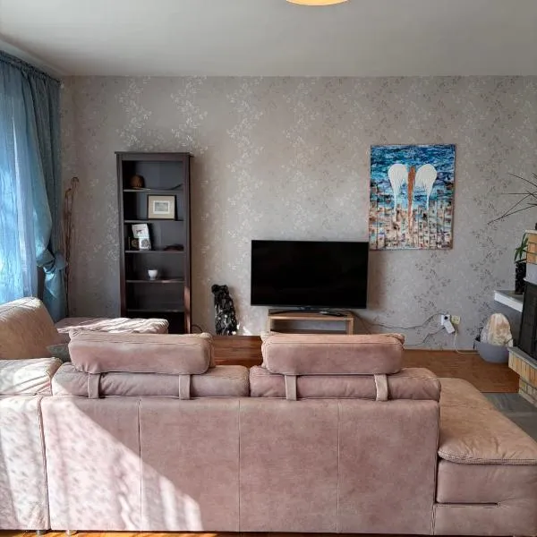 Villa appartment, hotel in Vinohrady